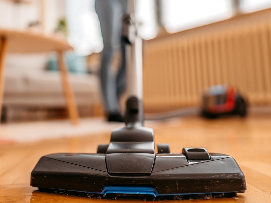 Vacuum your home regularly.